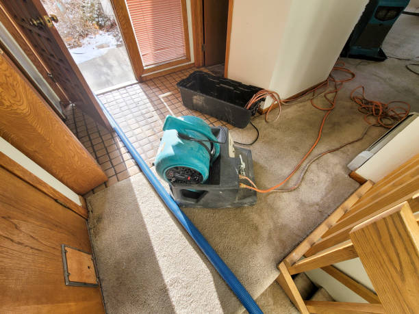 Best Mold removal after water damage  in Rising Sun Lebanon, DE
