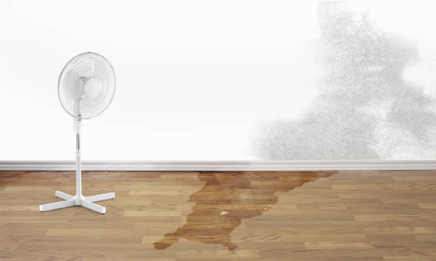 Best Emergency water damage restoration  in Rising Sun Lebanon, DE