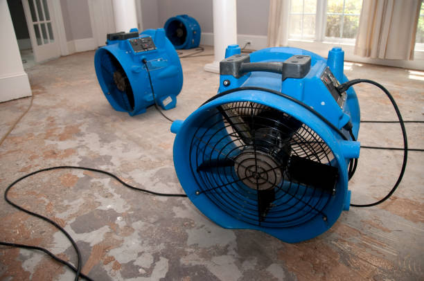 Best Local water damage restoration  in Rising Sun Lebanon, DE