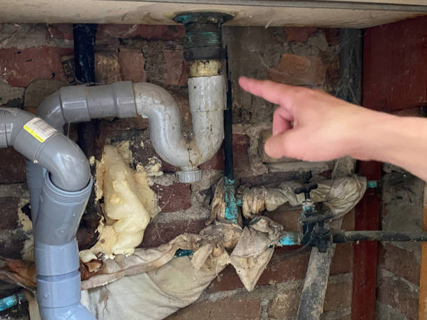 Best Ceiling water damage repair  in Rising Sun Lebanon, DE