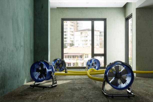 Best 24-hour water damage restoration  in Rising Sun Lebanon, DE