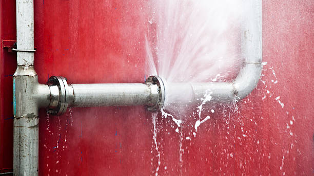 Best Sewage cleanup and water damage restoration  in Rising Sun Lebanon, DE